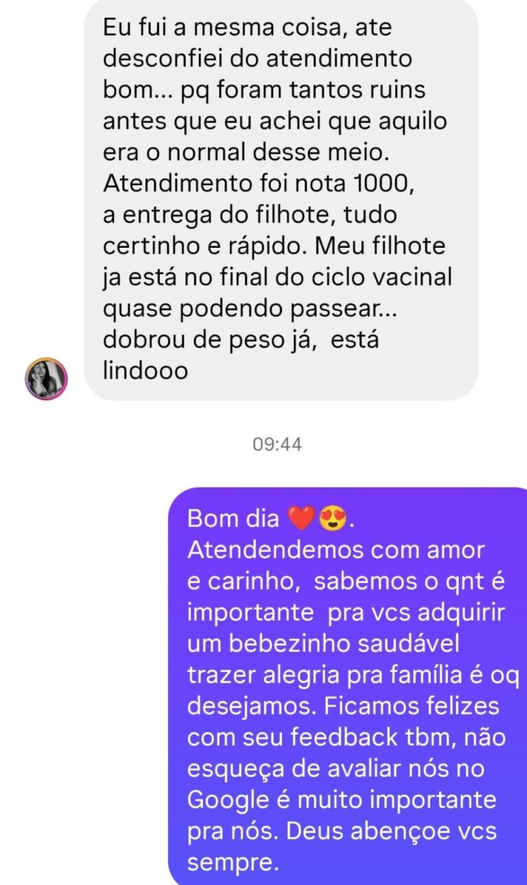 Depoimento de cliente do canil Jackmel