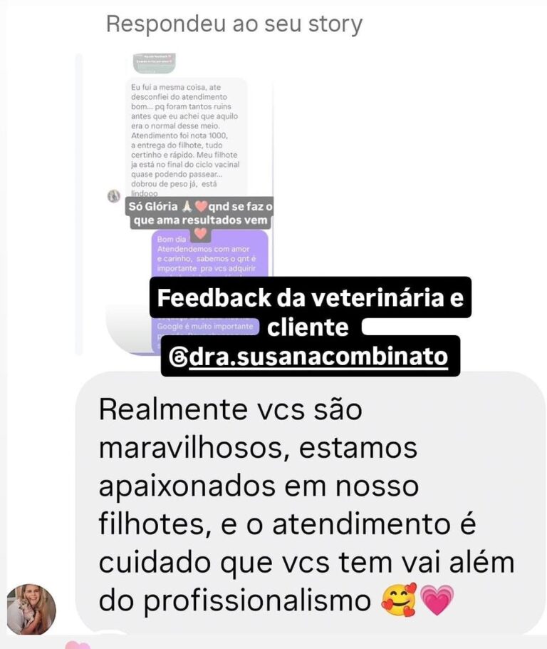Depoimento de cliente do canil Jackmel