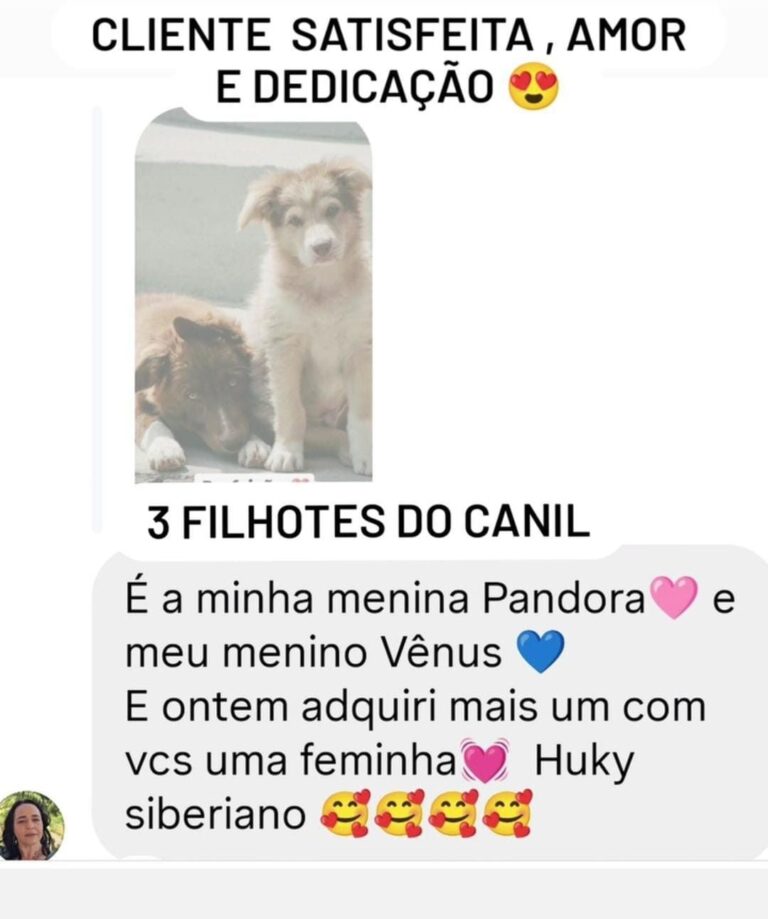 Depoimento de cliente do canil Jackmel